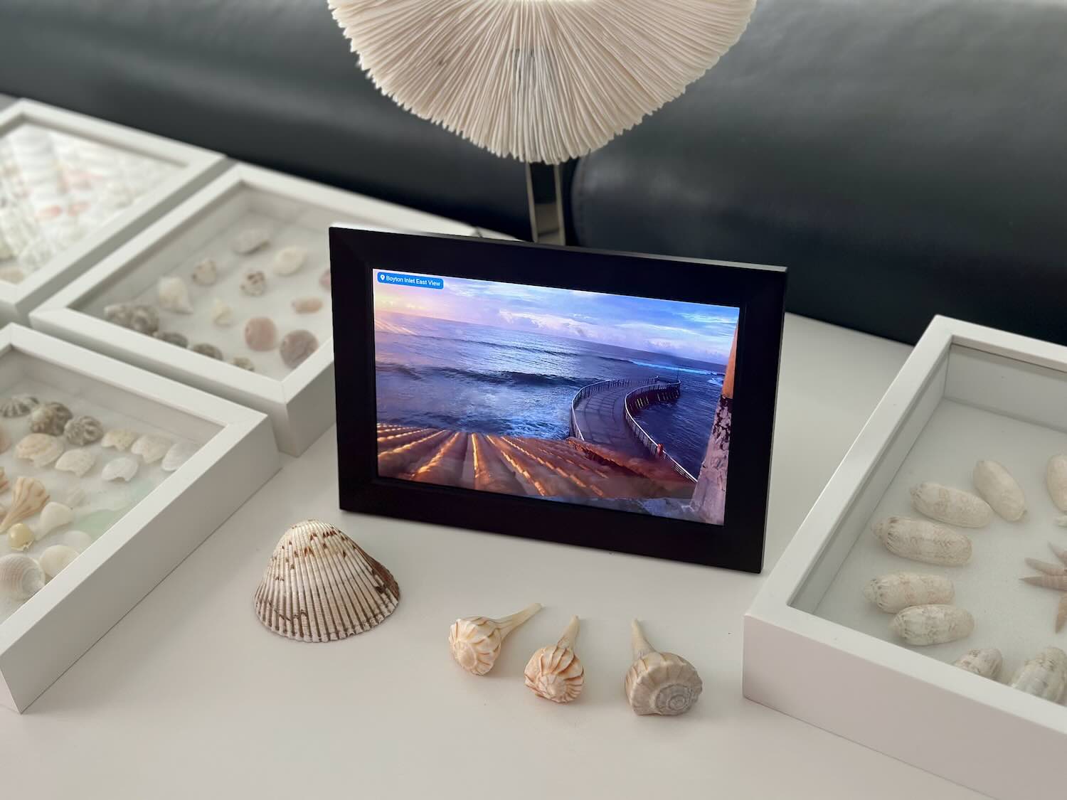 LiveFrame on a shelf next to a plant.