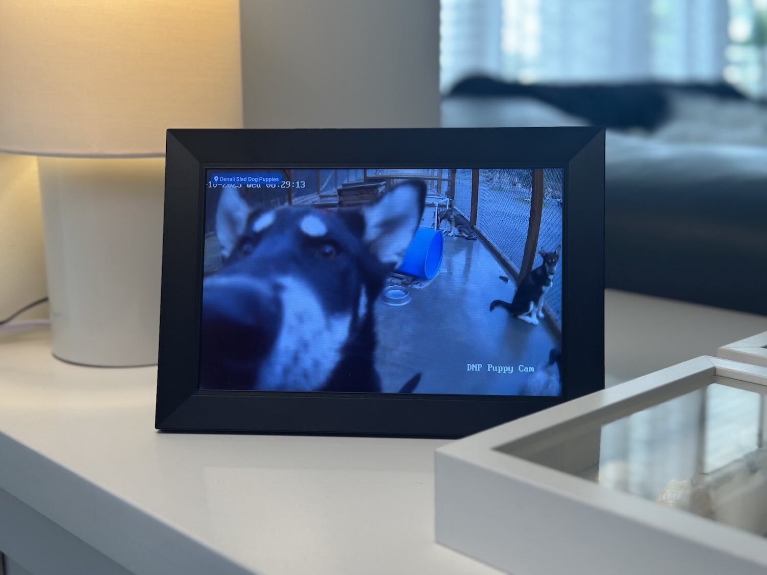 LiveFrame with a phone showing photos.